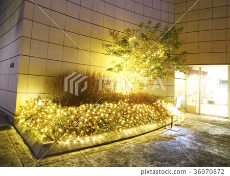 Namba illumination Namba illumination 36970872