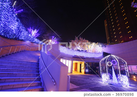 Namba illumination 36970898