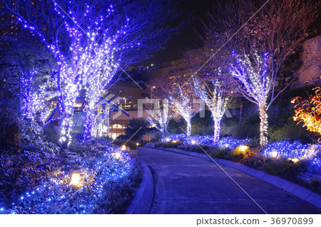 Namba illumination 36970899