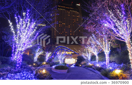 Namba illumination 36970900