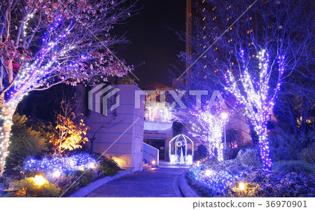 難波照明 36970901