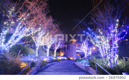 難波照明 36970902