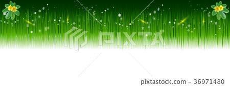 Bright tropical panorama background with jungle. 36971480