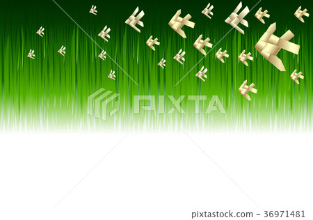 Bright tropical adstrack background with jungle. 36971481