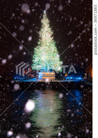 Hakodate Christmas Fantasy 36971865