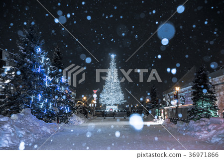 Hakodate Christmas Fantasy 36971866