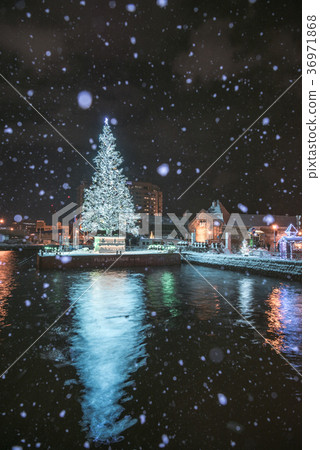 Hakodate Christmas Fantasy Hakodate Christmas Fantasy 36971868