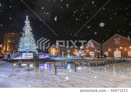 Hakodate Christmas Fantasy 36971872