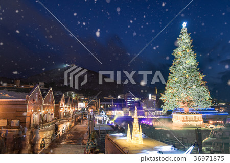 Hakodate Christmas Fantasy Hakodate Christmas Fantasy 36971875