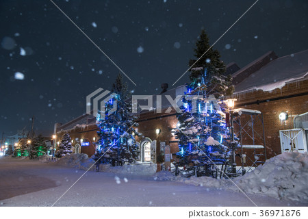 Hakodate Christmas Fantasy Hakodate Christmas Fantasy 36971876