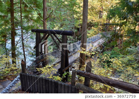 阿德拉山谷的懸索橋 36972759