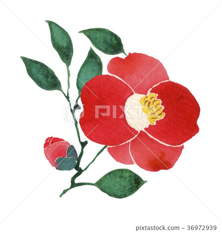 Watercolor illustration 36972939