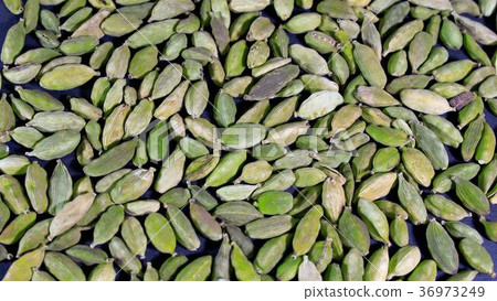 grains of fragrant spices cardamom close-up 36973249