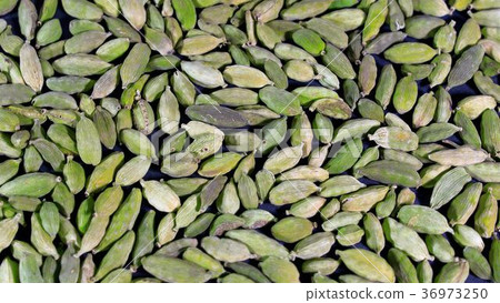 grains of fragrant spices cardamom close-up grains of fragrant spices cardamom close-up 36973250