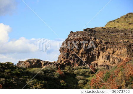 Oki Island Oki Island 36973703