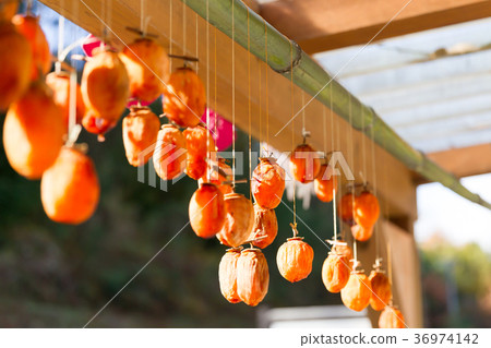 柿餅乾 柿餅乾 36974142