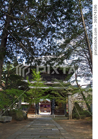 Horoji Temple 36974396
