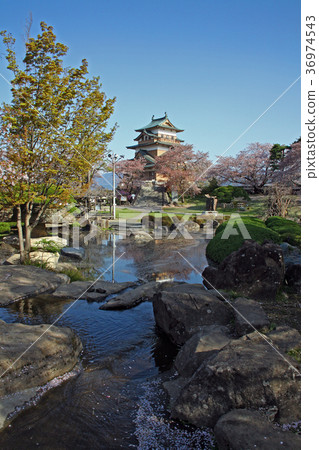 Takashimaro 36974543