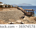 Beach by the sea with sun loungers and pier 36974578