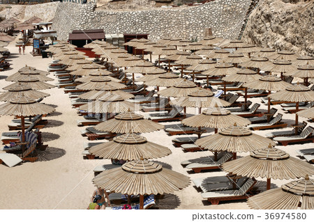 Beach with sun loungers and umbrellas Beach with sun loungers and umbrellas 36974580
