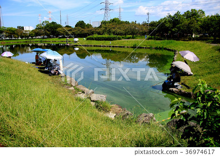 釣魚池塘在公園 36974617
