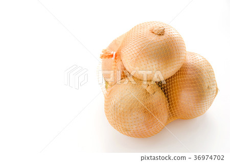 Netted onion 36974702