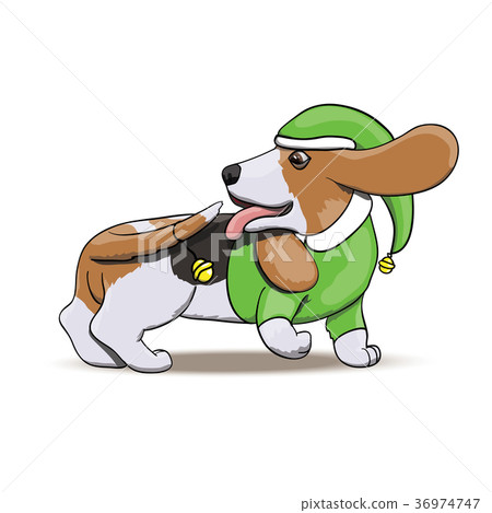 Basset Hound Santa's Elf Chasing New Year Bell 36974747