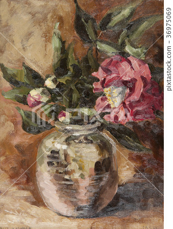 茶花 茶花 36975069