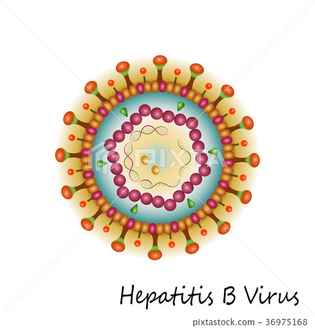 Hepatitis B Virus particle structure isolated Hepatitis B Virus particle structure isolated 36975168