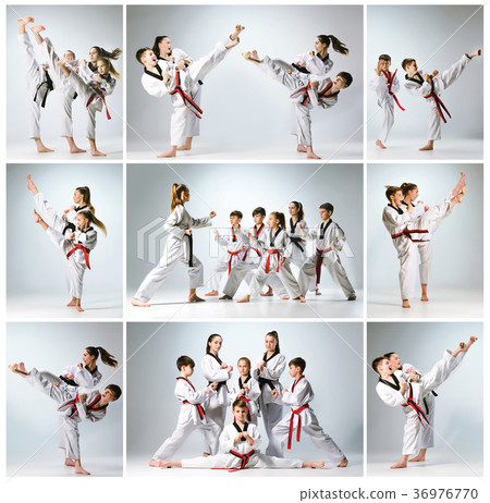 The studio shot of group of kids training karate 36976770