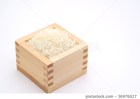 在白色背景b-1的米 36976827