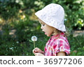 Little girl in a hat blowing a dandelion 36977206