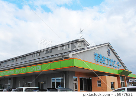 Sakaiminato fish center seafood direct sale place 36977621