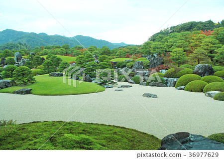 Garden 36977629
