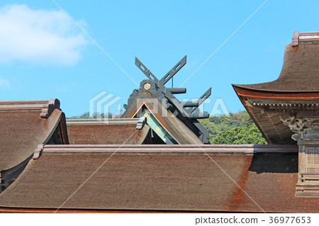 Izumo Taisha Main Hall 36977653