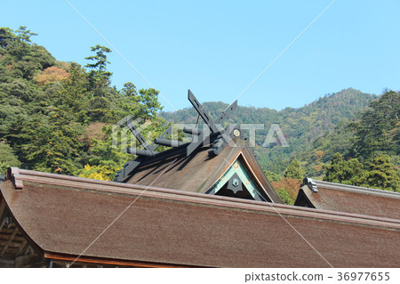Izumo Taisha Main Hall 36977655