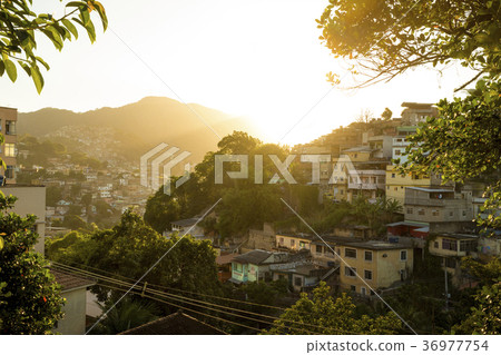 Favela in Rio de Janeiro, Brazil Favela in Rio de Janeiro, Brazil 36977754
