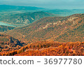 Autumn forest view in mountain, forest landscape 36977780
