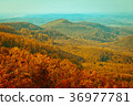 Autumn forest view in mountain, forest landscape 36977781