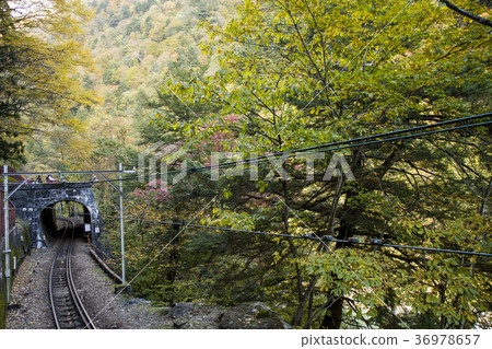 Autumn mountain railway Autumn mountain railway 36978657