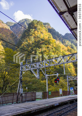 Autumnal mountain station Autumnal mountain station 36978658