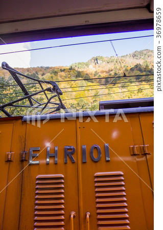 秋葉和紅色火車在山 秋葉和紅色火車在山 36978659