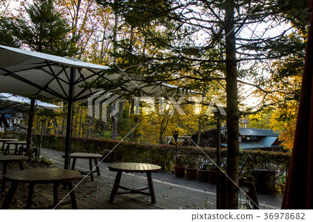 Terrace with sunrise and white umbrella Terrace with sunrise and white umbrella 36978682