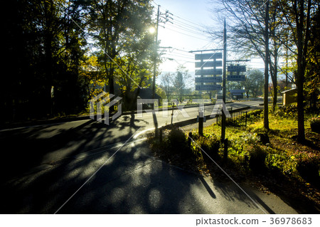 Road in the morning pass of departure Road in the morning pass of departure 36978683