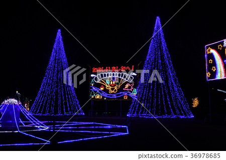 Ojima Government building illumination 36978685