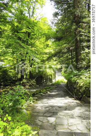 Green stone stairway 36978757