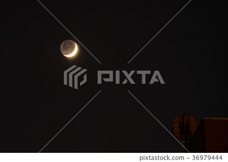 Moon Moon 36979444