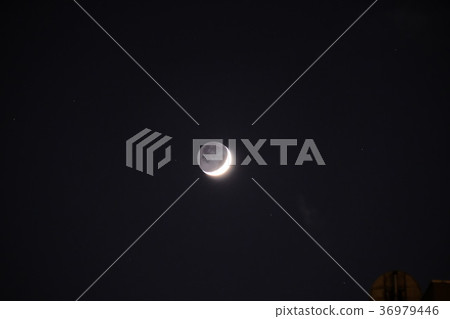 Moon Moon 36979446