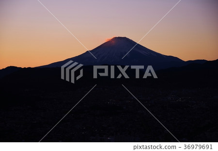 Twilight Mt. Fuji (Kano City, Kanagawa Prefecture) 36979691