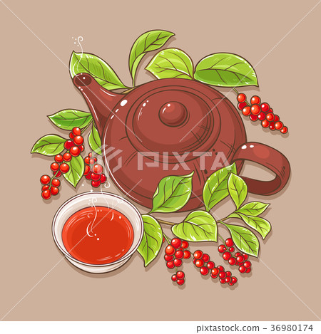 cup of schisandra tea and teapot 36980174
